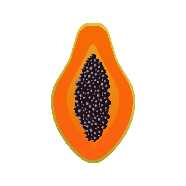 Papaya icon simple colored for logo Diet food icon for web gradient