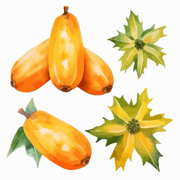 Papaya in een verfrissend aquarelkunstwerk