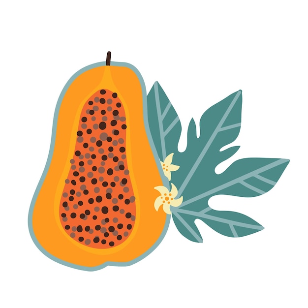 Papaya in tweeën gesneden met bloemen en blad geïsoleerd op een witte achtergrond vector platte hand getekende illus