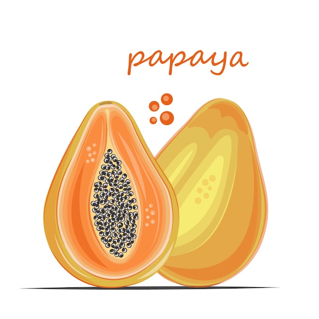 Papaya kleurrijke en sappige print ideaal om op alles te printen, maar ook voor gebruik in sociale netwerken en banners witte achtergrond