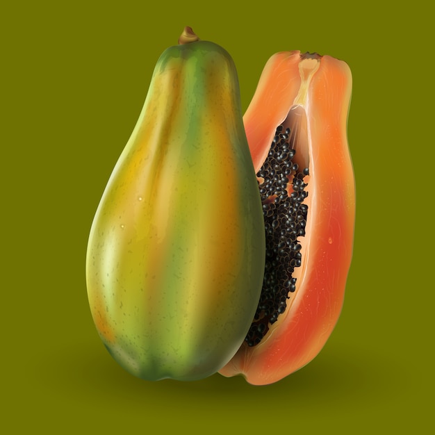 Vector papaya op groene achtergrond