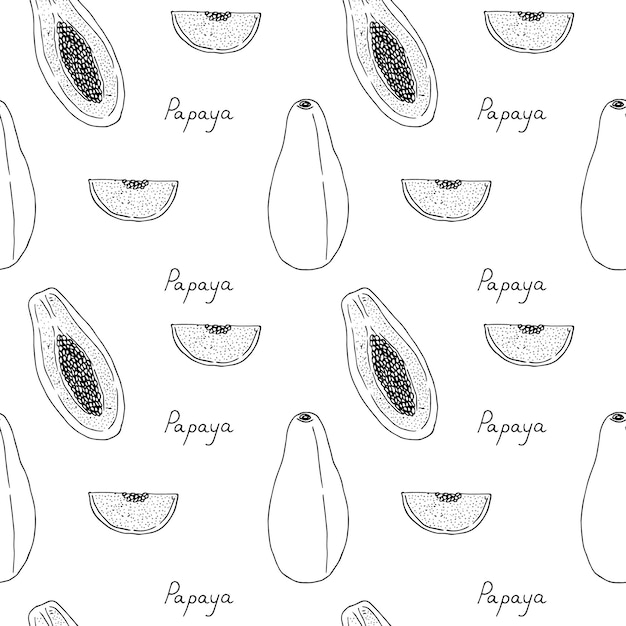 Papaya seamless pattern, vector illustration, hand drawn sketch