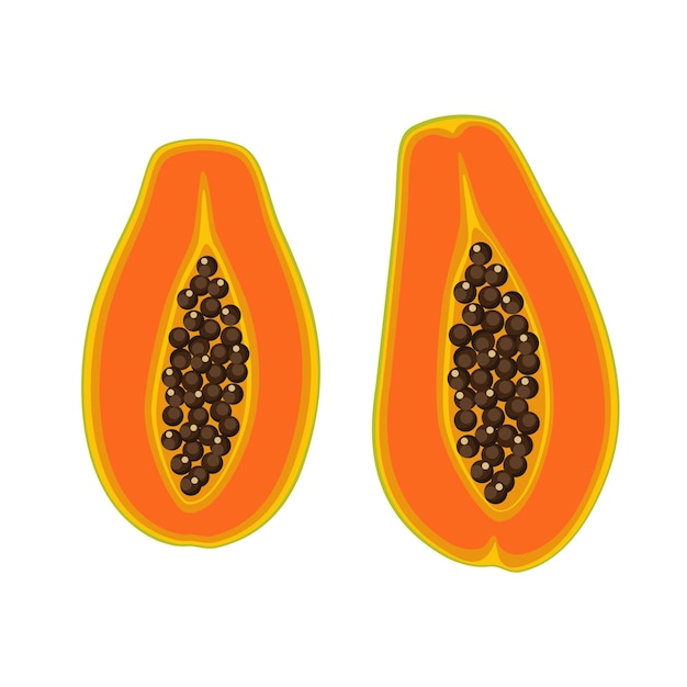Papaya set design of isolated halves tropical fruit Exotic vegan food in flat detailed vector