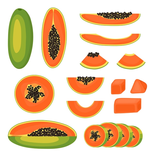 Papaya set. slice, piece, half and a whole fruit close-up. ripe juicy fruit. healthy food and diet. isolated on white background. vector illustration.