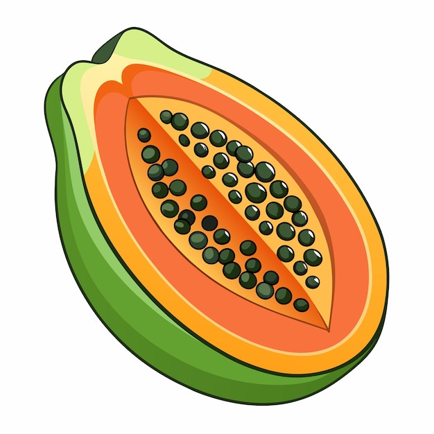 Papaya vrucht vector kunst illustratie 11