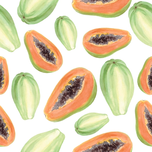 Papaya watercolor pattern on white Sweets fruit Vector illustration