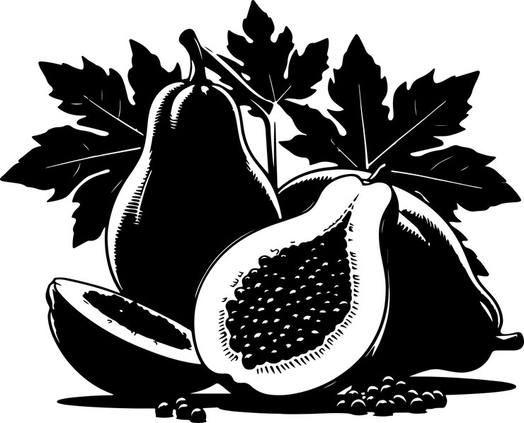 Vector papaya
