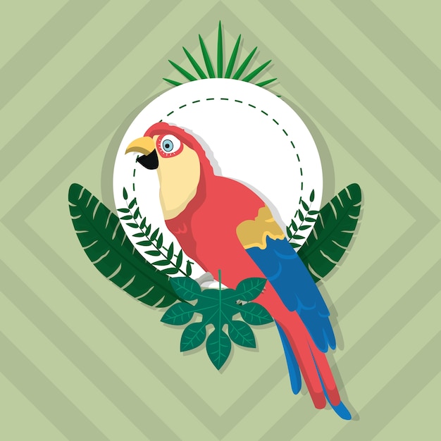 Vector papegaai exotische vogel