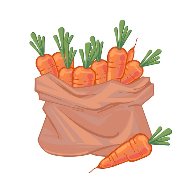 Vector paper bag full of juicy ripe orange carrots. canvas bag with carrots. organic vegetables. hand drawn illustration isolated on white background. icons bags with vegetables.