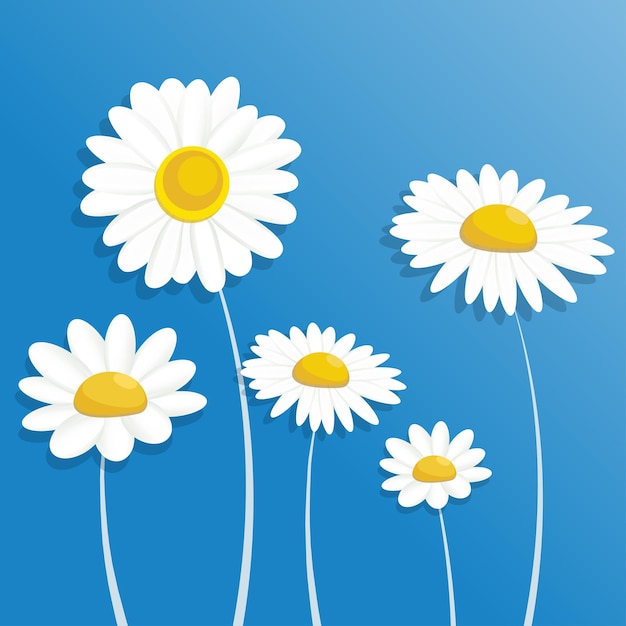 Paper flower chamomile cute daisies on a blue background cut out white flowers from paper