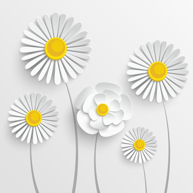 Paper flower Chamomile Daisies on white background White Flowers cut out of paper