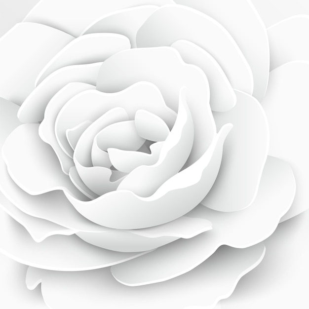 Vector paper flower white roses cut from paper vector illustration