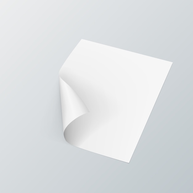 paper mockup realistic vector