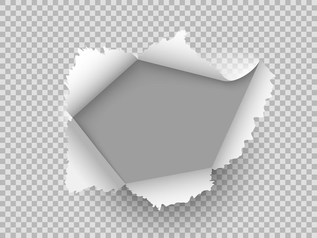 Premium Vector | Paper realistic hole. ripped torn hole on ...