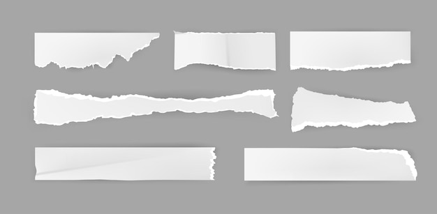 paper rip pieces ripped sheets