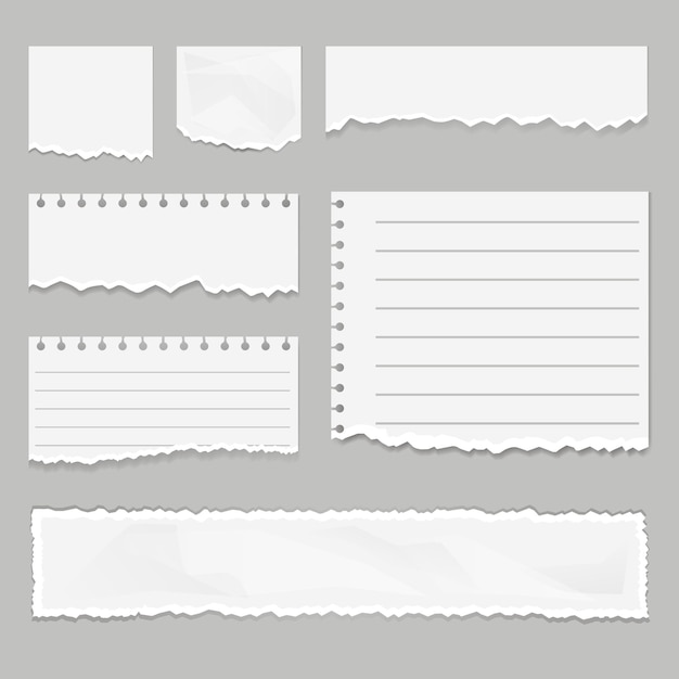 Paper scraps isolated set