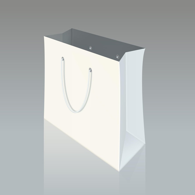 Paper shopping bag