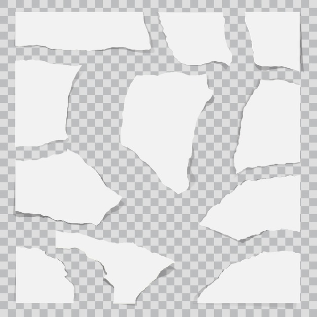 Vector paper torn to pieces