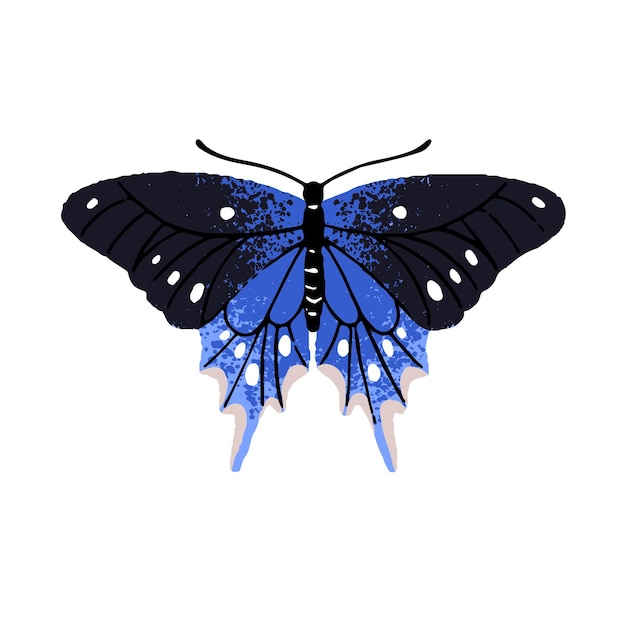 벡터 파필리오 마아키 (papilio maackii) 알파인 검은 달 ⁇ 이  ⁇ 리 파란 새 날개 나비 패턴 날개를 가진 아름다운 곤충 레피도프테라 동물 이국적인 동물 평평한 손으로 그린  ⁇ 터 그림  ⁇ 색