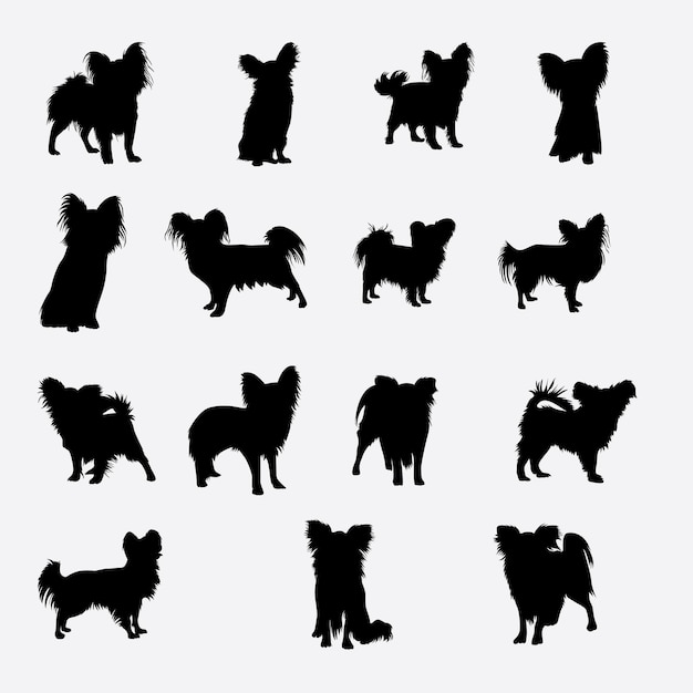 Papillon hond dier silhouet