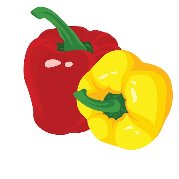 Vector paprika fruit fresh realistic vector