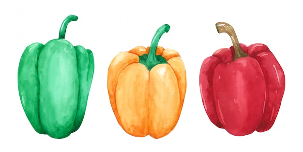 Paprika handverf in aquarel