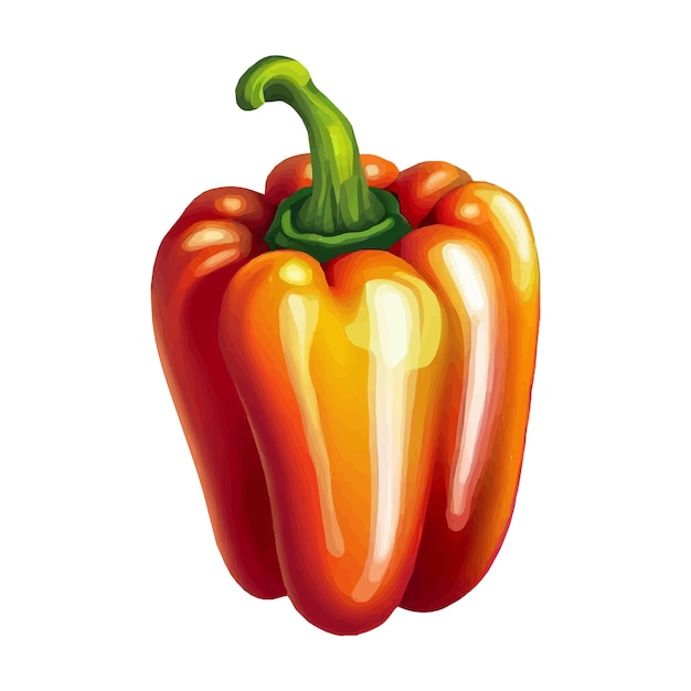 Paprika Pepper vector illustration