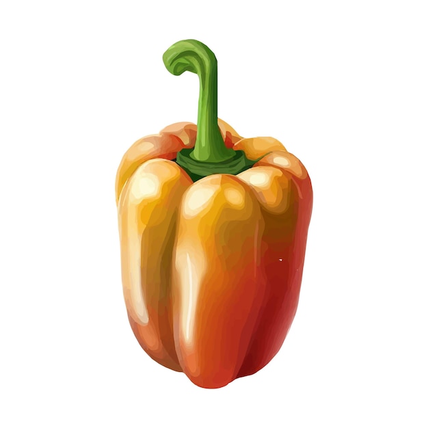 Paprika Pepper vector illustration