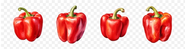 Paprika pepper watercolor vector element set transparent isolated