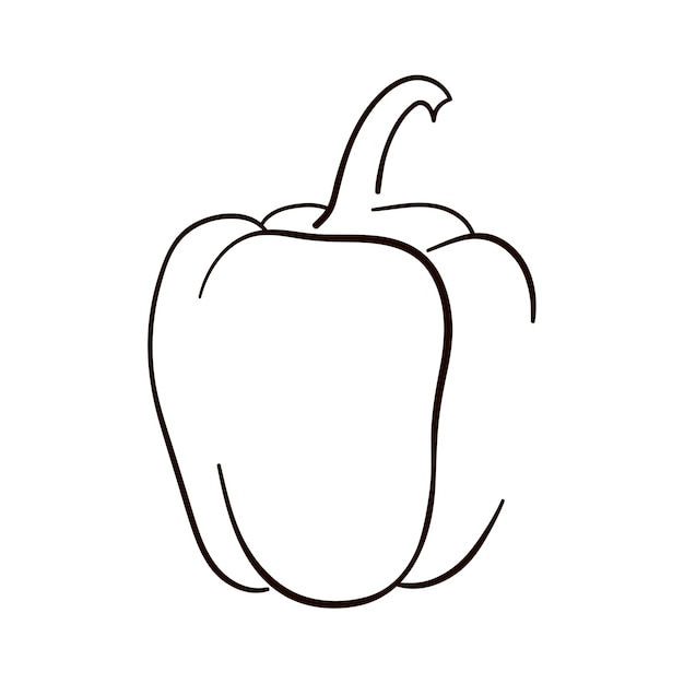 Paprika pictogram Peper in lijntekeningen Peper vector illustratie