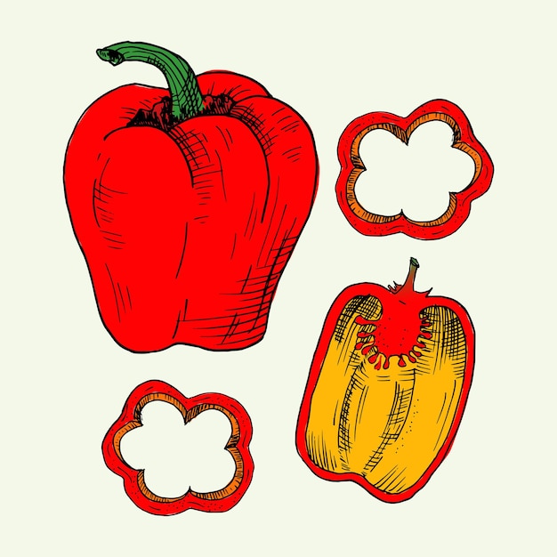 Paprika Rode paprika Handgetekende vectorillustratie in schetsstijl