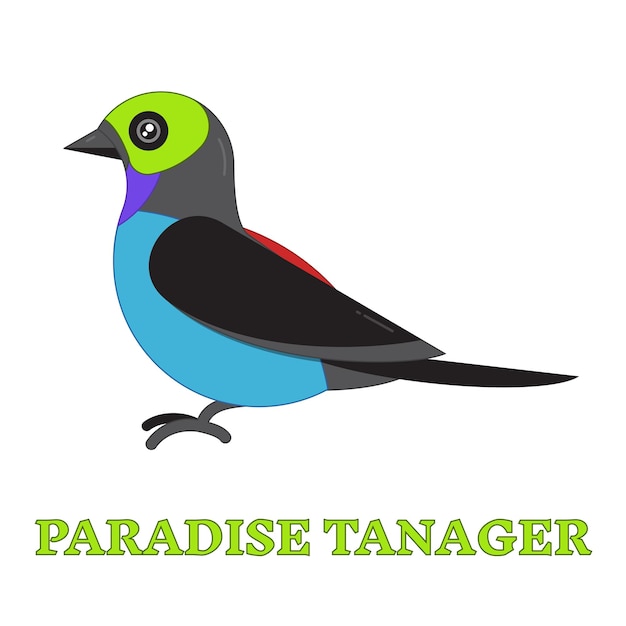 Paradise tanager lijn kunst icoon Birdwatching populaire vogel collectie Platte stijl ontwerp exotische tanagra Geometrische eenvoudige vorm lineaire pictogram