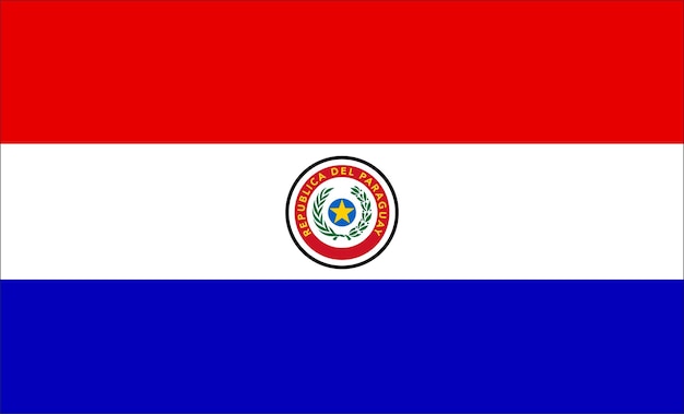 Disegno della bandiera del paraguay