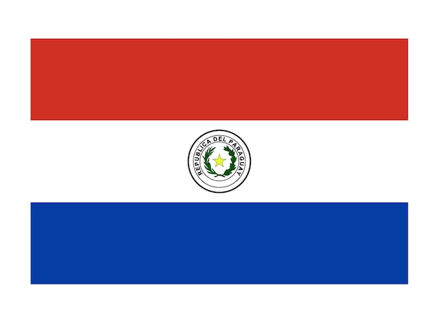 Paraguay flag official country flag world flag icon International flag icon