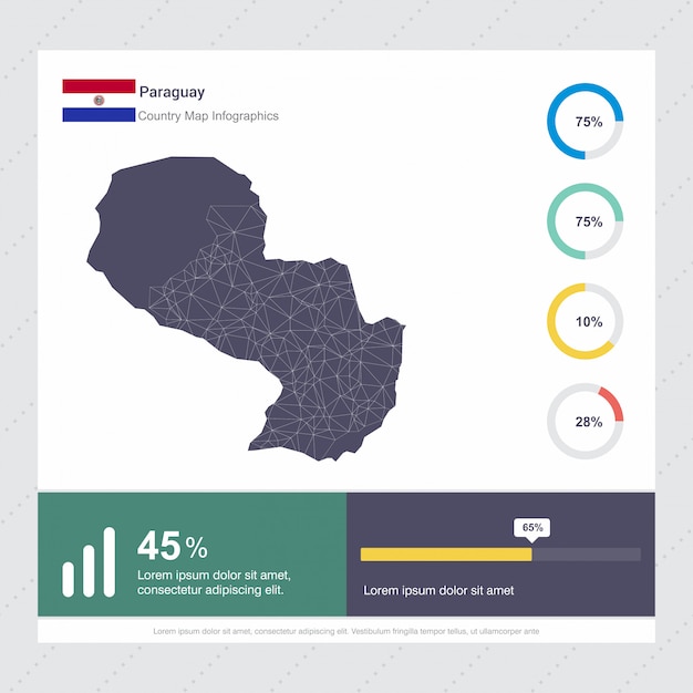 Vector paraguay kaart & vlag infographics sjabloon