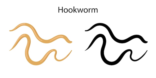 Parasieten wormen bij huisdieren mijnworm