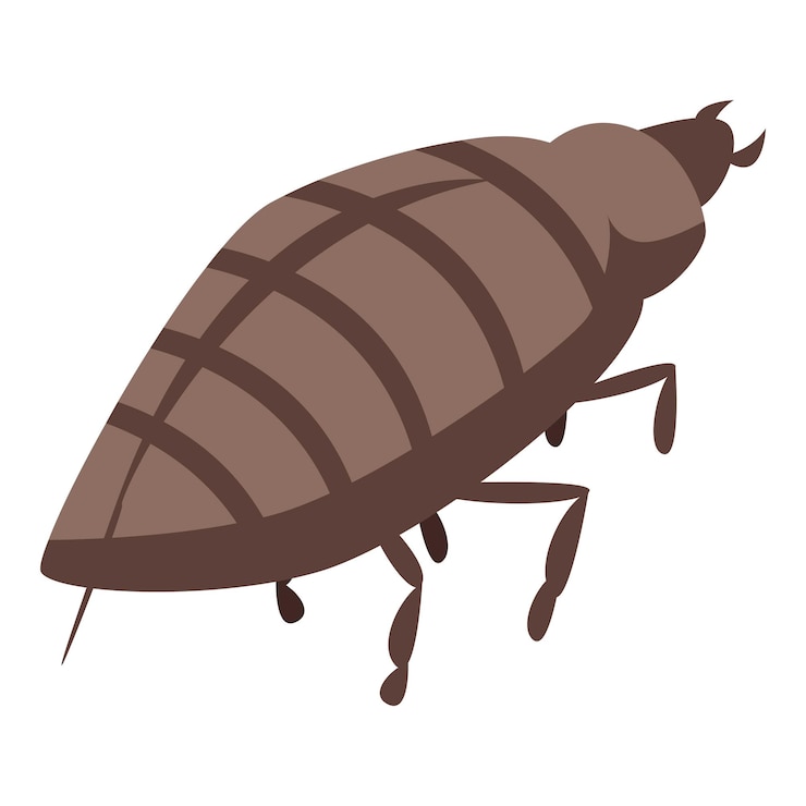 Vector 寄生虫アイコン白い背景に分離された web デザインの寄生虫ベクトル アイコンの等尺性