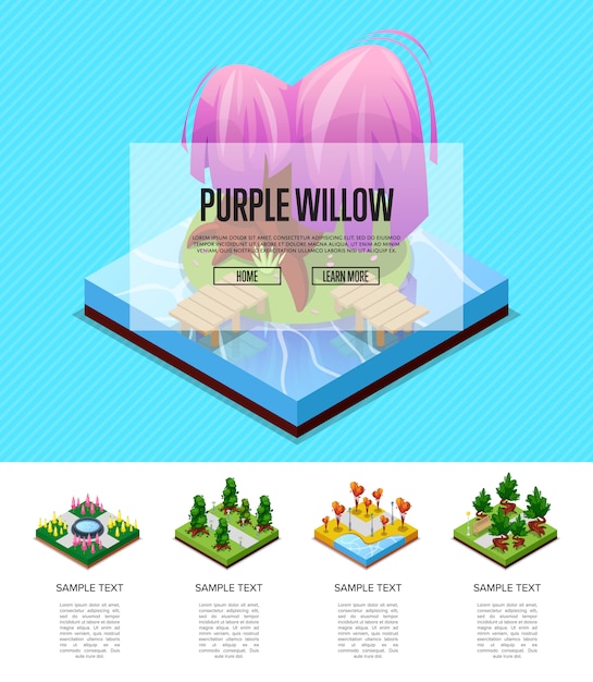 Park landscape isometric infographics