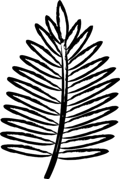 Vector parlor palm leaf hand drawn vector illustration