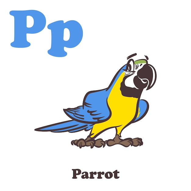 Vector parrot alphabet cartoon character for kids