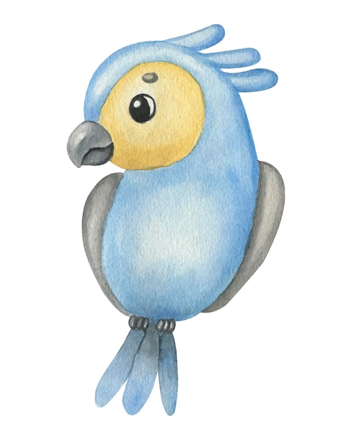 Vector parrot baby watercolor illustration