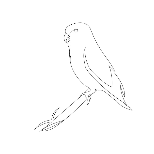 Parrot  bird line art drawing style, the bird sketch black linear isolated on white background.