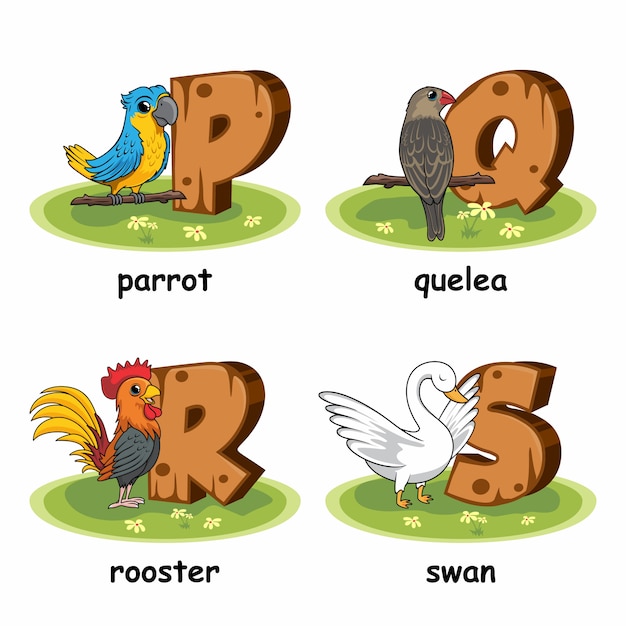 Parrot bird quelea swan rooster poultry wooden alphabet