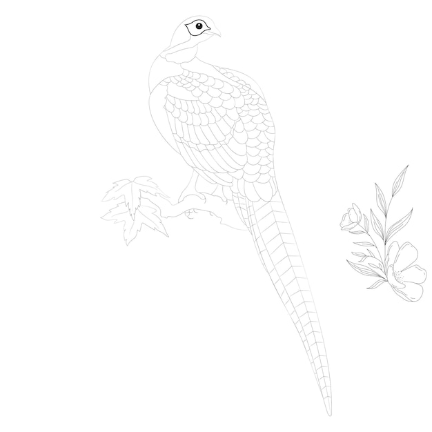 Parrot black and white vector