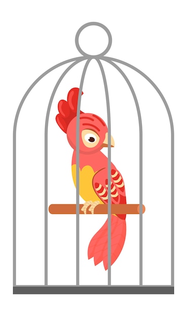 Parrot in cage. Red exotic bird in cartoon style isolated on white background