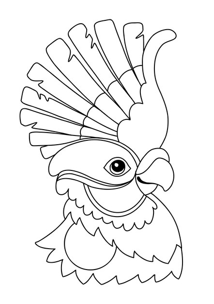 Premium Vector Parrot exotic bird coloring template vector illustration Premium Vector Parrot exotic bird coloring template vector illustration