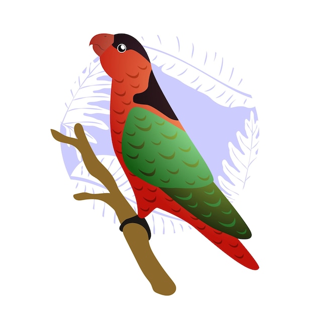 Vector parrot in flat design vector illustration eps10