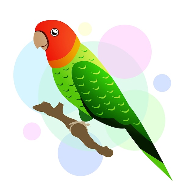 Parrot in flat design vector illustration EPS10