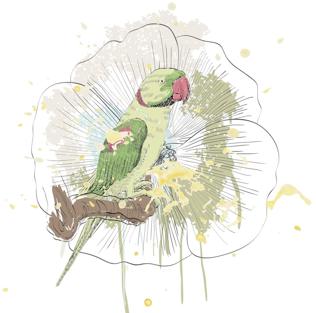 Vector parrot and flower