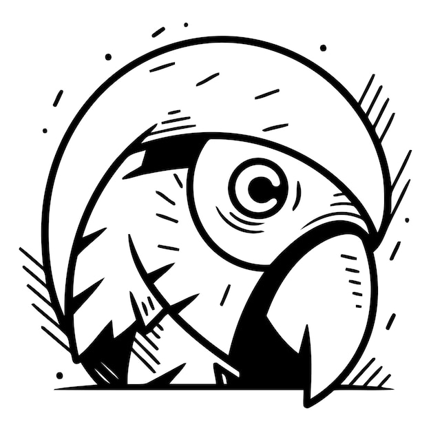 Parrot head vector illustration in cartoon style isolated on white background